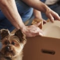 How to Pack for a Move: A Step-by-Step Guide