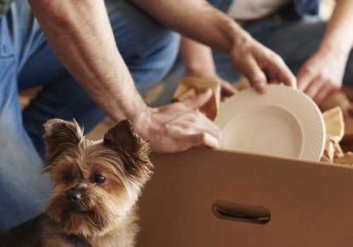 How to Pack for a Move: A Step-by-Step Guide